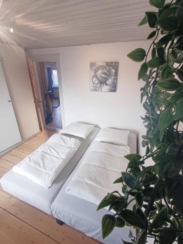 a white bed in a room with a plant at Calm and cozy apartment with free parking in Hjørring