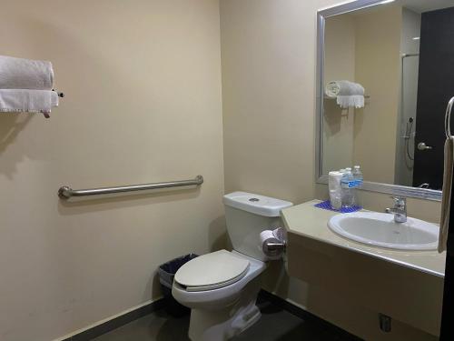 a bathroom with a toilet and a sink at Paris FC Express in Poza Rica de Hidalgo