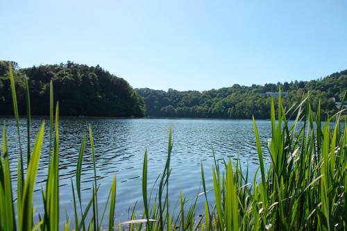 a view of a lake with trees in the background at Landhaus Seeblick in Bitburg