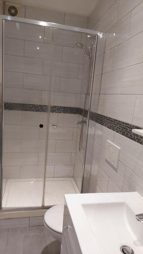 une salle de bain avec une douche avec des toilettes et un lavabo dans l'établissement La Garenne Colombes appartement, à La Garenne-Colombes