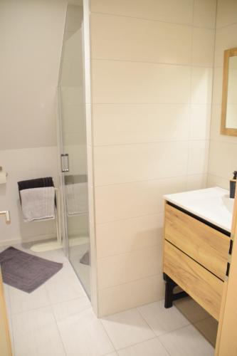 a bathroom with a shower and a sink at Chambres d'hôtes "La Petite Vallée" in Rott