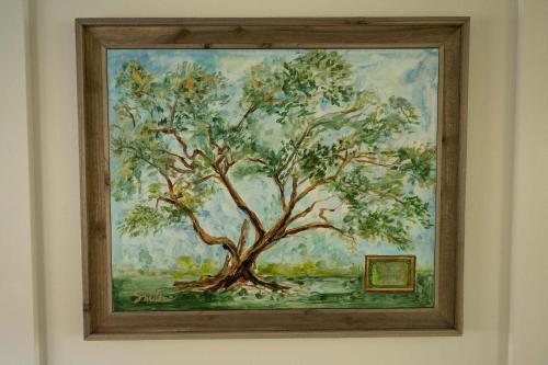 Φωτογραφία από το άλμπουμ του The Big Twisted Oaks σε Bay Saint Louis