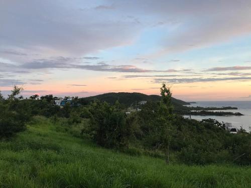 a view of the ocean from a hill with trees at Tres Bahias Culebra in Culebra