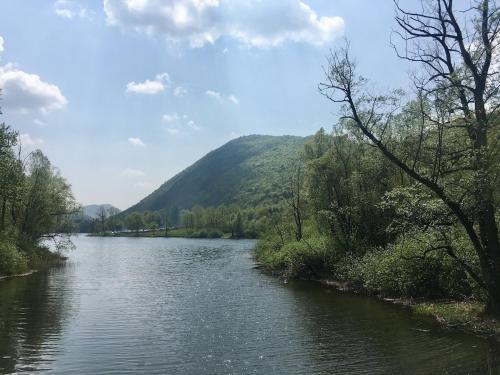 a river with trees and a mountain in the background at Ca' Pelitti in Ganna