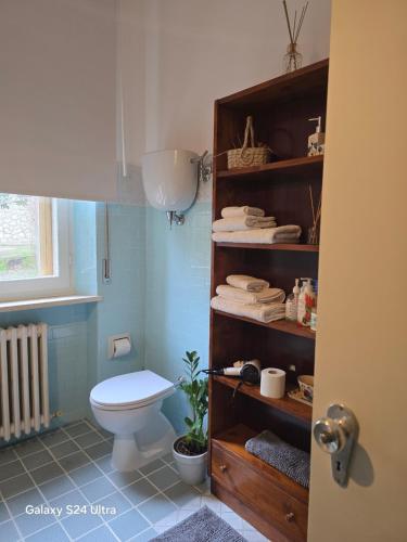 a bathroom with a toilet and a shelf with towels at Come a casa in Tognazza