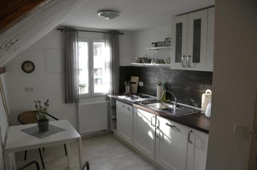 Kuchyň nebo kuchyňský kout v ubytování Traumfängerhaus Elfen