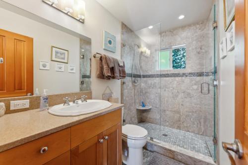 a bathroom with a toilet sink and a shower at Summerland Double Dolphin in Santa Barbara