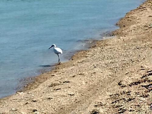 Naturlandschaft in der Nähe des Ferienhauses