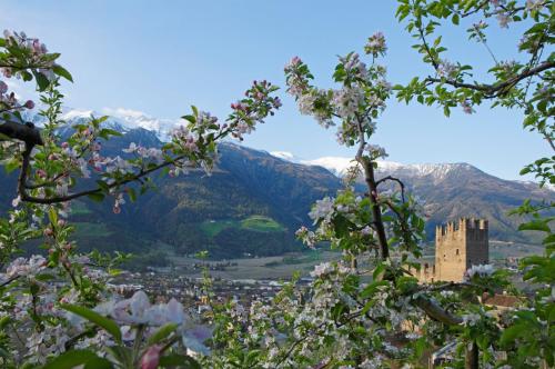 a view of a castle with mountains in the background at Ferienwohnung im Haus Texel IV in Rablà
