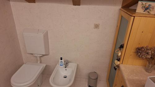 a small bathroom with a toilet and a sink at Casa delle Rose in Teglio
