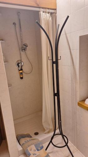 a shower in a bathroom with a shower curtain at Casa delle Rose in Teglio