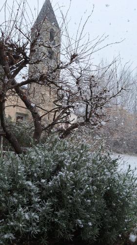 a tree with snow on it in front of a building at Casa delle Rose in Teglio