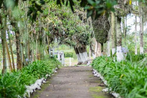 a path through a park with trees and plants at Hostería Hacienda Pinsaqui in Otavalo