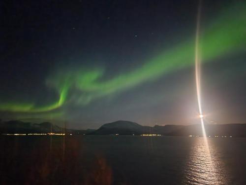 Příroda nedaleko apartmánu