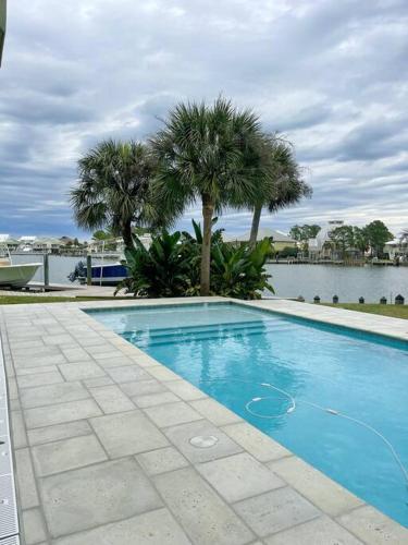 a swimming pool with palm trees and a body of water at Chateau on Colony Cove in Dauphin Island