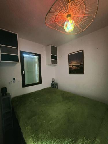 - une chambre avec un grand lit et un tapis vert dans l'établissement Résidence Antigua - T2 Climatisé avec wifi MAE-8121, au Barcarès