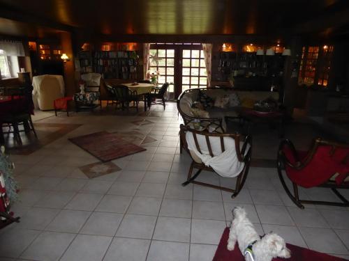 a dog sitting on a chair in a room at Landhaus an der Hase in Herzlake