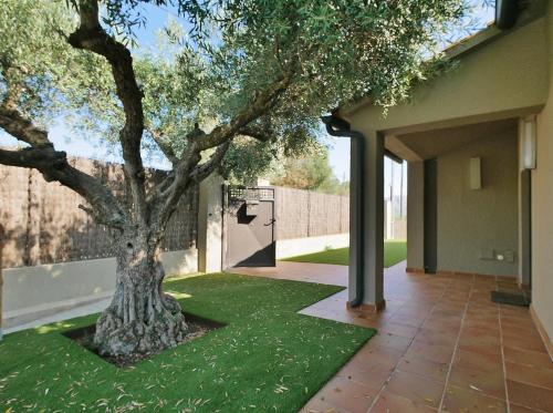 a tree in a yard next to a building at Ca la Moni Gualta in Gualta