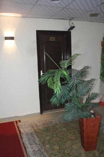 a plant sitting in front of a door at ALShawarbi Plaza Hotel in Cairo