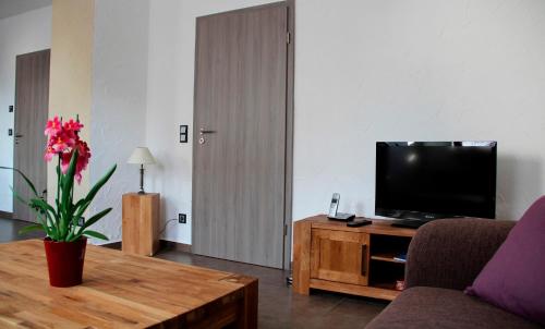 TV a/nebo společenská místnost v ubytování Ferienwohnung Usbeck