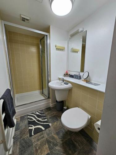 a bathroom with a toilet and a sink and a shower at Modern studio apartment in Gunwharf in Portsmouth