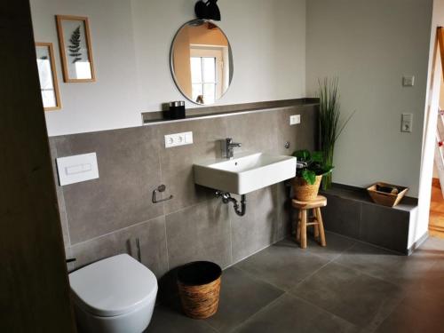 a bathroom with a sink and a toilet and a mirror at Rösslerhof Ferienwohnung Rösslerweiher in Schlier-Unterankenreute