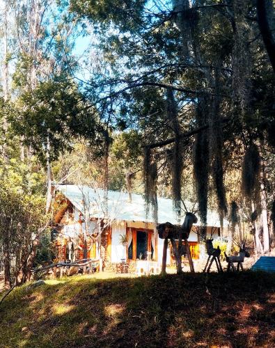 Gallery image of CABAÑA MÁGICA CUCUNUBA in Cucunubá