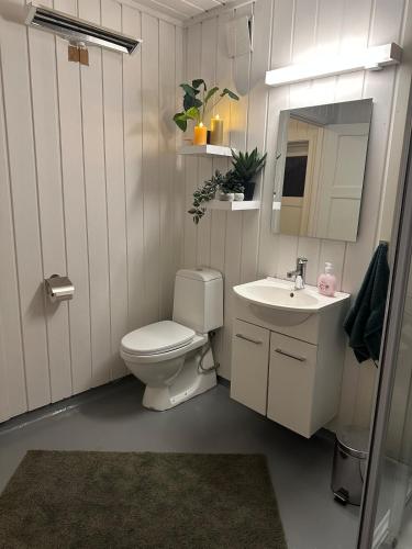 a bathroom with a toilet and a sink and a mirror at Anabranch Bliss in Øverbygd