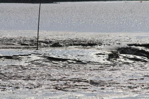 a wave in the water with a pole in it at Ferienhaus Klapötke in Dorum