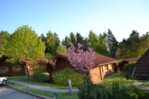 a house with a flowering tree in front of it at Blockhaus Hedwig Haus 10 in Stamsried
