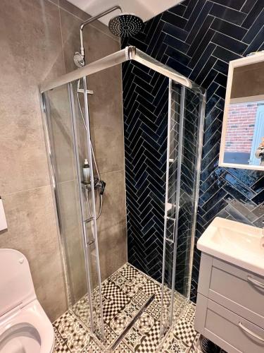 a shower with a glass door in a bathroom at Mount Apartments in Mavrovo