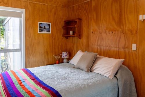 a bedroom with a bed with wooden walls and a window at Tūī Guesthouse in Cooks Beach