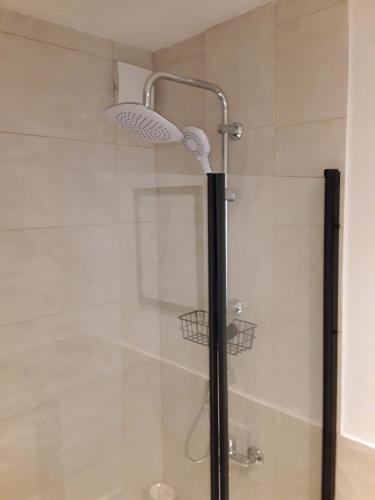 a shower with a shower head in a bathroom at Ferienwohnung Weiland 80qm in Lutherstadt Eisleben