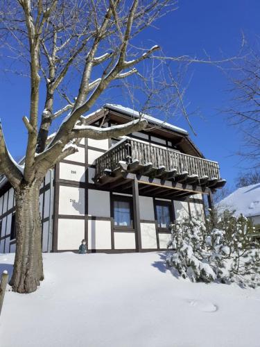 a building with a tree in the snow at Ferienwohnung Lix direkt am Waldrand in Frankenau