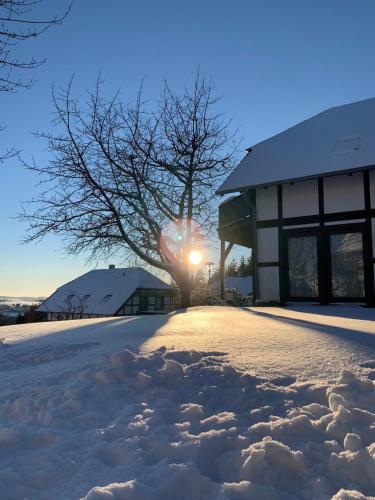 a tree in the snow next to a building at Ferienwohnung Lix direkt am Waldrand in Frankenau
