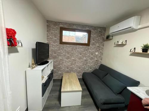 un salon avec un canapé et une télévision dans l'établissement Charmant Studio 1- Hyper centre - Cœur de Montauban-Tous Commerces à pied, à Montauban