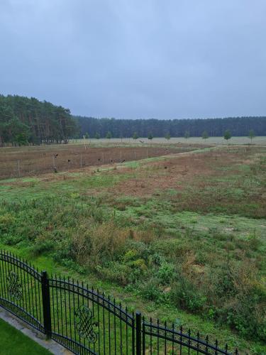 an open field with a fence and animals in a field at Ferienwohnung Schlaubetal Müllrose 1 - Seenähe in Müllrose