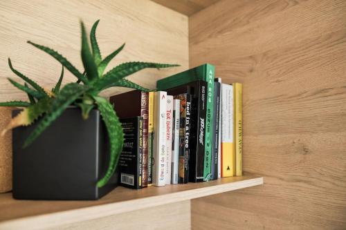a shelf with books and a potted plant on it at Nomad 27 in Bovec