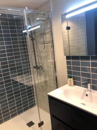 une salle de bain avec une douche en verre et un lavabo dans l'établissement Brise marine - climatisation - les pieds dans l'eau, à Sète