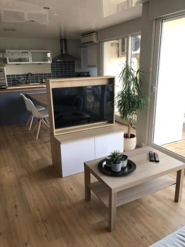 un salon avec une grande télévision à écran plat dans l'établissement Brise marine - climatisation - les pieds dans l'eau, à Sète