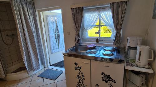 a small kitchen with a sink and a window at Appartement 24 in Kappeln