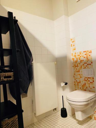 Un pequeño baño con inodoro y ducha. en Ferien am Strand, Urlaub an der Ostsee Ferienwohnung am Strand in der Nähe der Schlei, Umgebung von Kappeln u Damp, en Brodersby