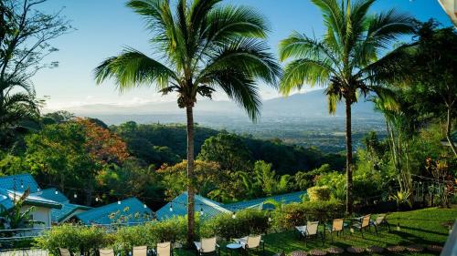a view from a resort with palm trees at Buena Vista Chic Hotel in Alajuela City
