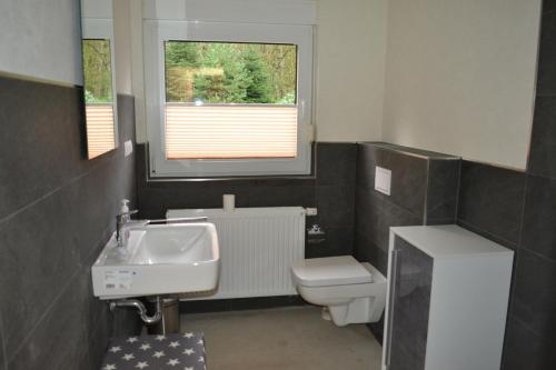 a bathroom with a sink and a toilet and a window at Ferienhof Thele Wohnung EG in Werlte