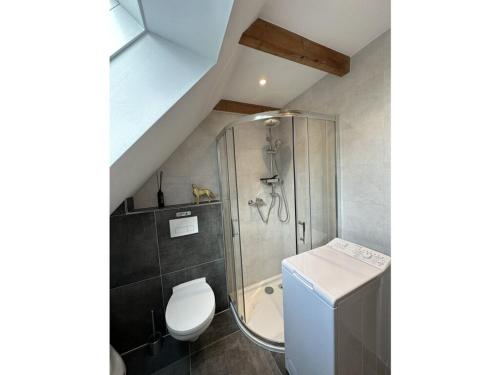 une salle de bain avec douche et toilettes dans l'établissement Holiday home Rennweide - MarBi all incl, à Dangast