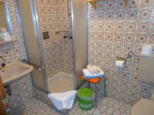 a bathroom with a shower and a toilet and a sink at Pension Schamberger in Neukirchen beim Heiligen Blut