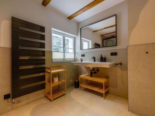 a bathroom with a sink and a mirror at Look into the country Comfortable holiday residence in Kurort Bärenburg