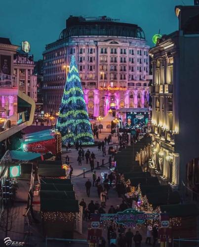 a christmas tree in front of a building at LION Apartments - DEBAR MAALO in Skopje