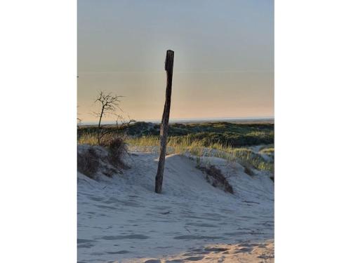 a wooden pole in the sand on a beach at Holiday Apartment Holly Comfortable holiday residence in Borkum