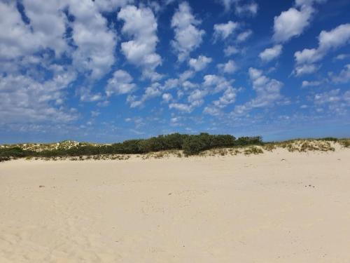 a sandy beach with trees and a blue sky with clouds at Holiday Apartment Holly Comfortable holiday residence in Borkum